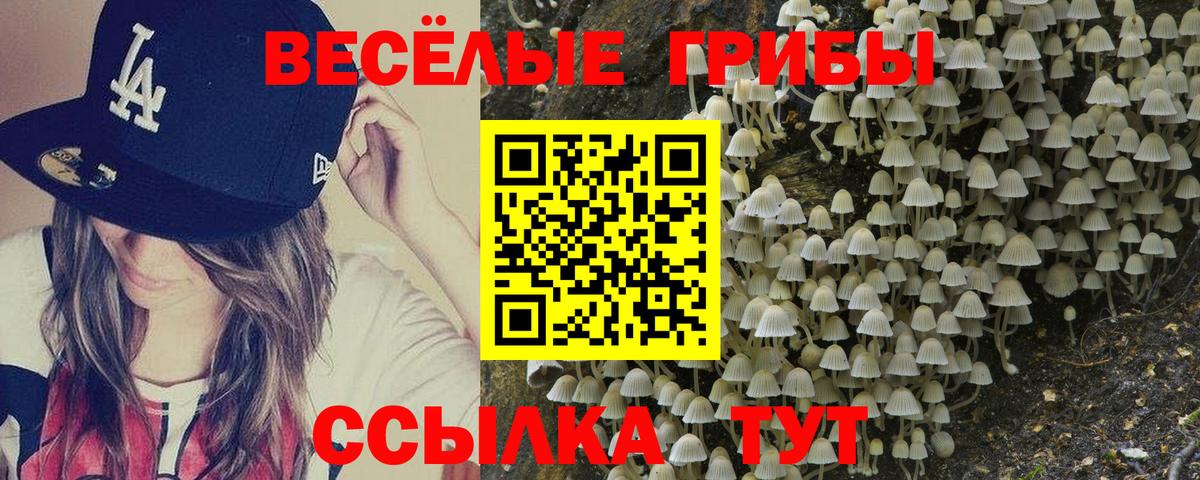 купить  цена  Вход с VPN  Владимир  Псилоцибиновые грибы Psilocybe  Псилоцибиновые грибы Psilocybe 