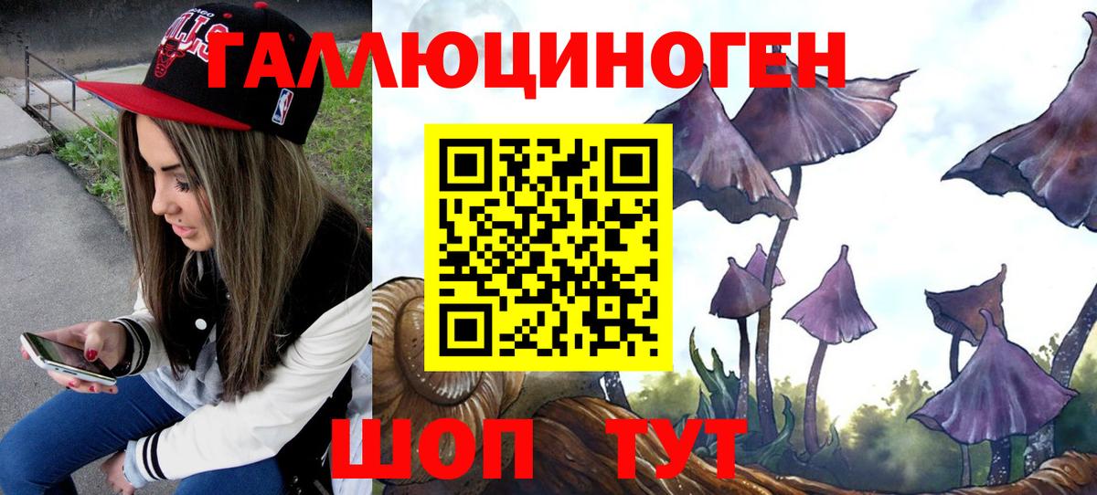 Галлюциногенные грибы мухоморы Владимир